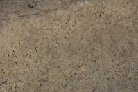 Columbia%20River%20artist%2C%20%3Cb%3E%3Ci%3E%20Carving%3C%2Fi%3E%3C%2Fb%3E%2C%20pre-contact%2C%20stone%2C%20Gift%20of%20Mr.%20Robert%20Campbell%20and%20an%20Anonymous%20Donor%2C%20no%20known%20copyright%20restrictions%2C%2055.197